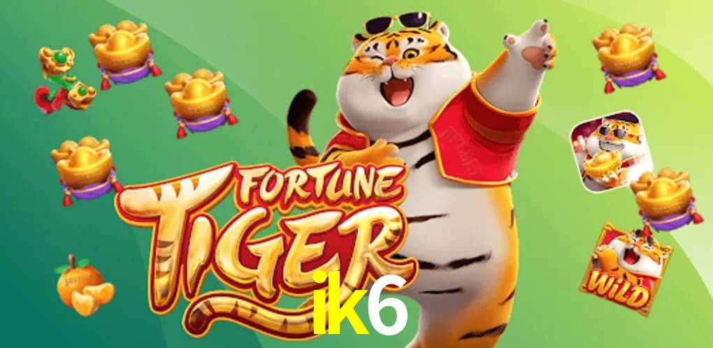 Bonus Features ik6